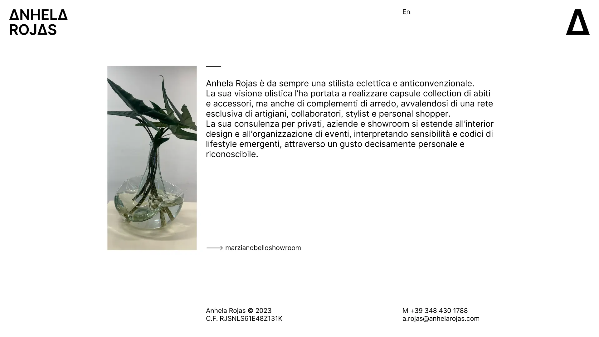 Anhela Rojas Desktop Home IT